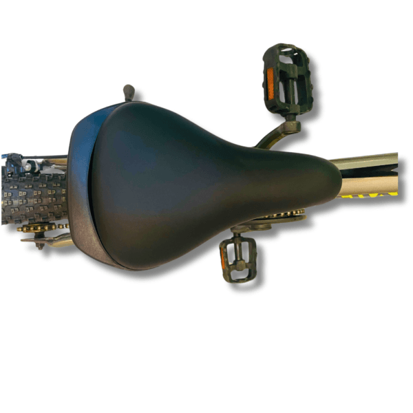 Pedal More Unisex Bicycle 20-Inch - Pedalhero - Dual Disc Brake with Suspension