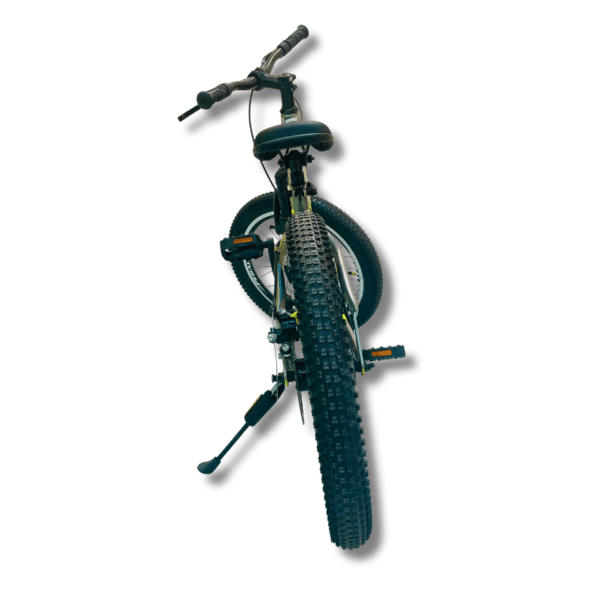 Pedal More Unisex Bicycle 20-Inch - Pedalhero - Dual Disc Brake with Suspension