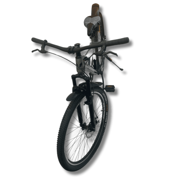 Adult Unisex Bicycle - Earth - 29 Inch - Silver Black
