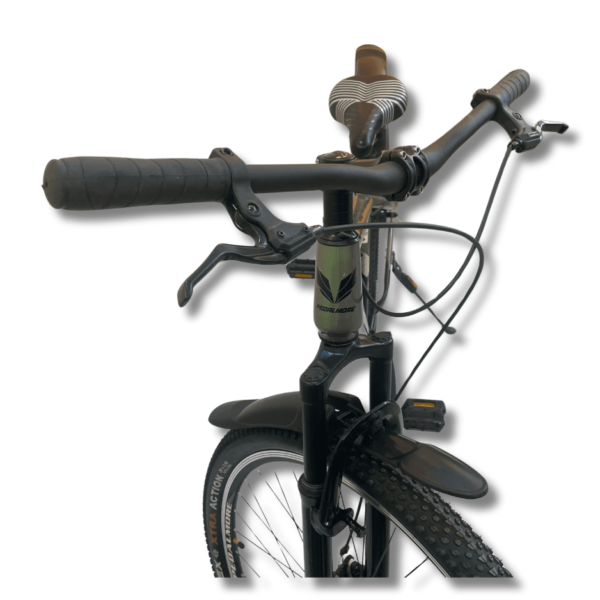 Adult Unisex Bicycle - Earth - 29 Inch - Silver Black