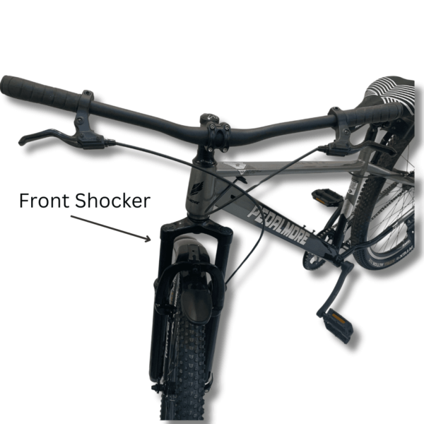 Adult Unisex Bicycle - Earth - 29 Inch - Silver Black