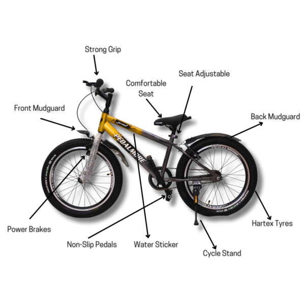 Pedal More Unisex Bicycle 20-Inch - Jovial - Golden - 5 to 15 years