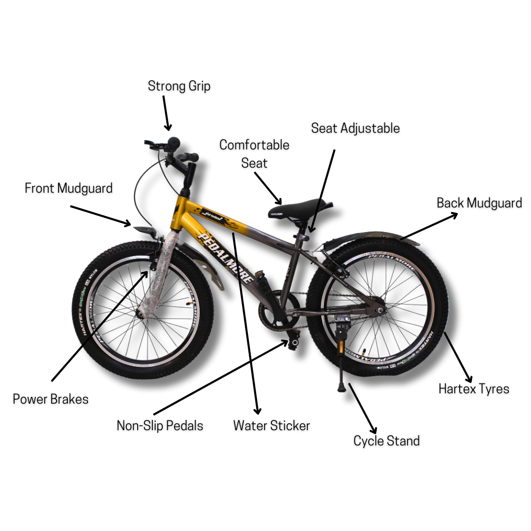 Pedal More 20 Inch cycle - Golden Color