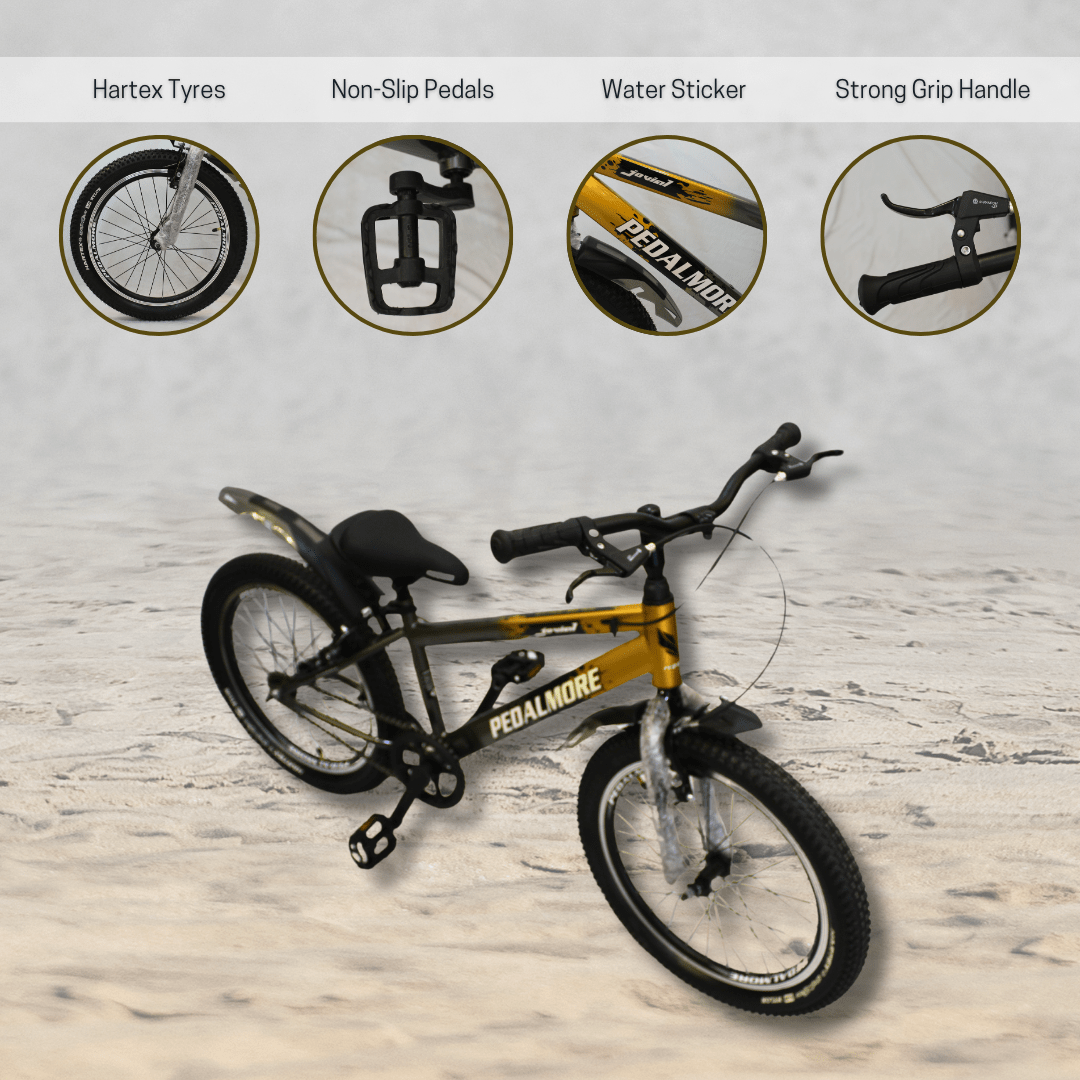 Pedal More 20 Inch cycle - Golden Color
