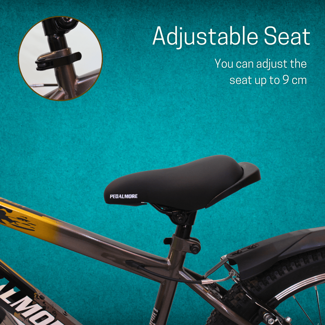 Pedal More 20 Inch cycle - Golden Color